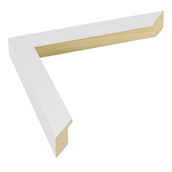 A3 White Frame and Mount